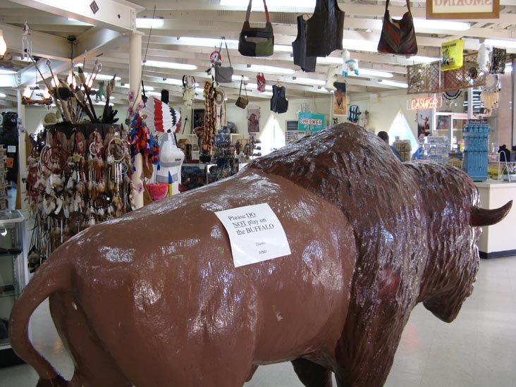 Buffalo, Pedro's Leather Shop, South of the Border, Interstate 95 and US 301-501, South Carolina