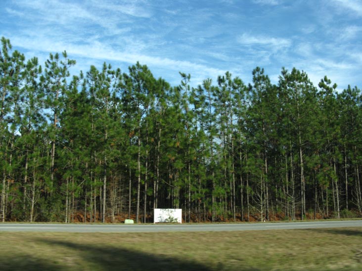 Speedway Boulevard, US 17 Between Hardeeville and Georgia State Line, Jasper County, South Carolina