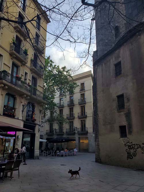 Plaça de Sant Josep Oriol, Barri Gòtic/Gothic Quarter, Barcelona, Spain, April 26, 2024