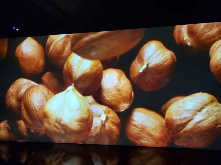 Museu del Torró i la Xocolata de Barcelona/The Nougat and Chocolate Museum of Barcelona, Torrons Vicens, Barcelona, Spain, April 26, 2024