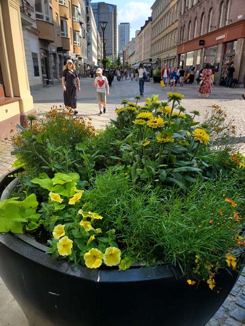 S&ouml;dra F&ouml;rstadsgatan at K&auml;rleksgatan, Malm&ouml;, Sweden, July 25, 2025