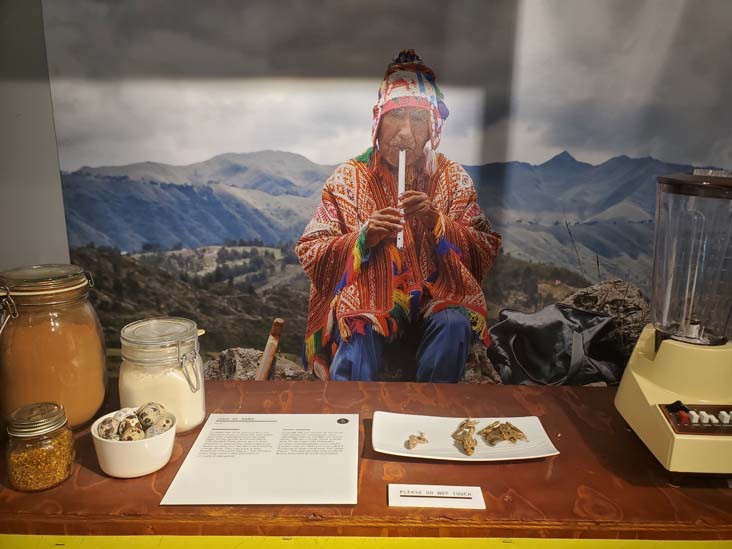 Jugo de Rana Exhibit, Disgusting Food Museum, Malmö, Sweden, July 25, 2025