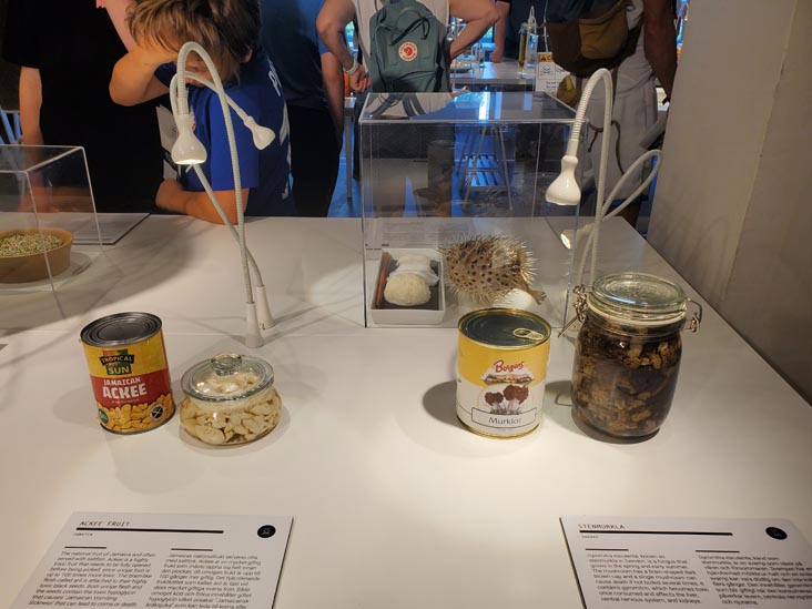 Ackee Fruit and Stenmurkla, Disgusting Food Museum, Malmö, Sweden, July 25, 2025