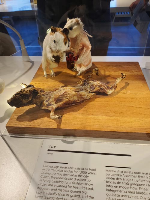 Cuy, Disgusting Food Museum, Malmö, Sweden, July 25, 2025
