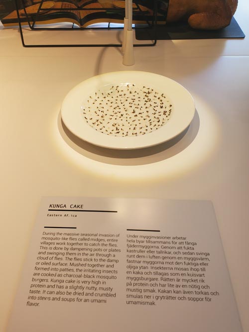 Kunga Cake, Disgusting Food Museum, Malmö, Sweden, July 25, 2025