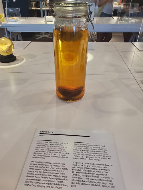 Bävergäll, Disgusting Food Museum, Malmö, Sweden, July 25, 2025