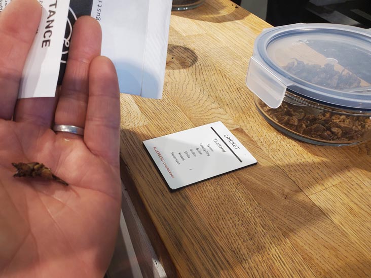 Thai Cricket, Tasting Bar, Disgusting Food Museum, Malmö, Sweden, July 25, 2025