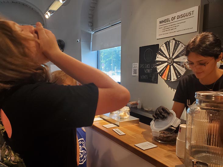 Tasting Bar, Disgusting Food Museum, Malmö, Sweden, July 25, 2025