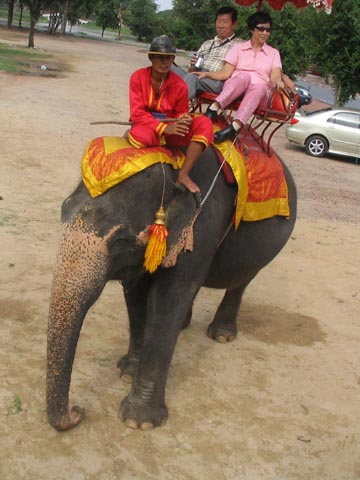 Elephant Ride, Ayutthaya, Thailand