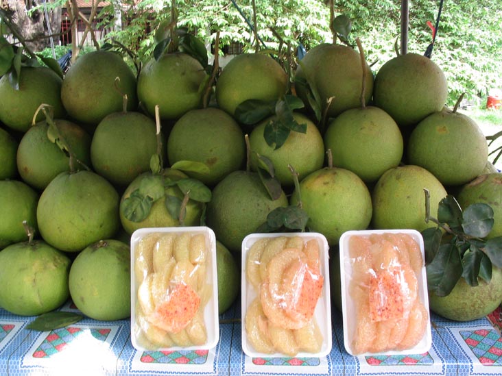 Pomelos, Wihan Phra Mongkhon Bophit, Ayutthaya, Thailand