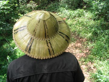 Elephant Ride, Mae Taeng River Valley, Chiang Mai Province, Thailand