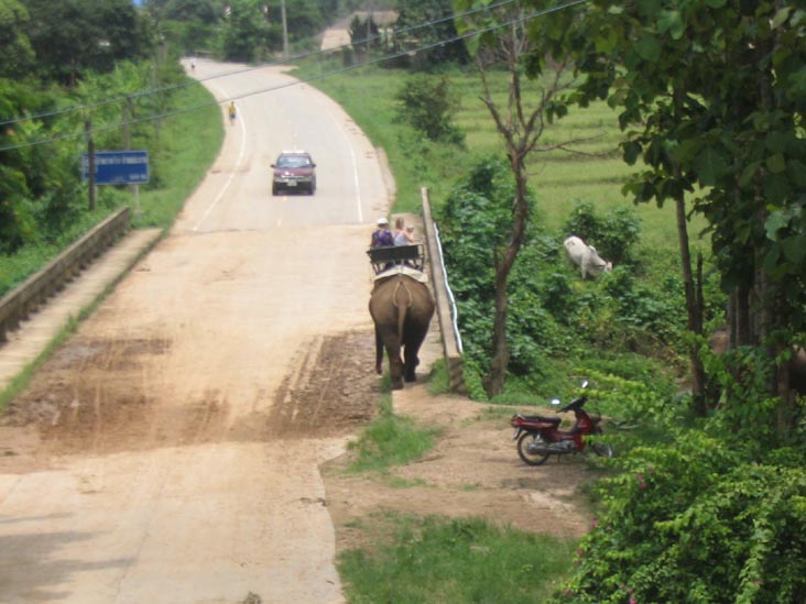 Elephant Ride, Mae Taeng River Valley, Chiang Mai Province, Thailand