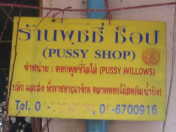 Flower Market Area, Ton Lamyai Market, Chiang Mai, Thailand