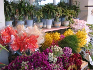 Flower Market Area, Ton Lamyai Market, Chiang Mai, Thailand