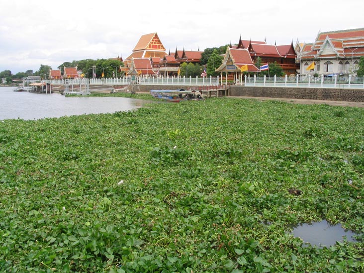 Wat Phanan Choeng, Ayutthaya, Thailand