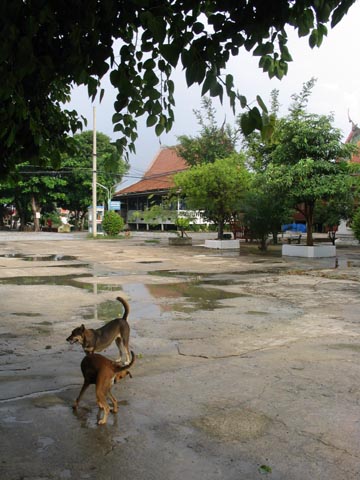 Wat Bang Na Complex, Thailand