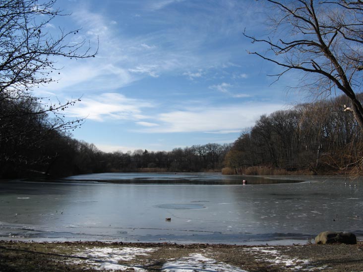 Oakland Lake, Alley Pond Park, Queens, January 4, 2010