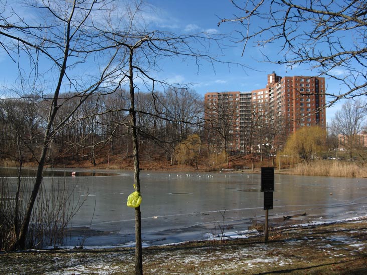 Oakland Lake, Alley Pond Park, Queens, January 4, 2010