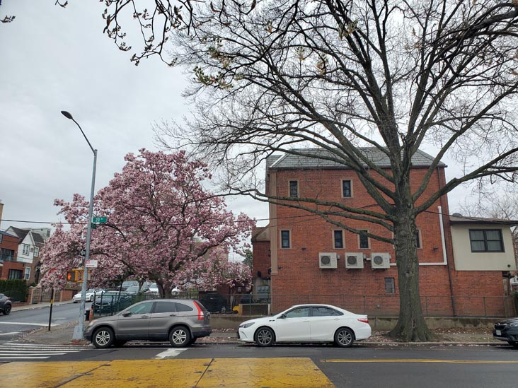 20th Avenue at 37th Street, Astoria, Queens, April 6, 2025