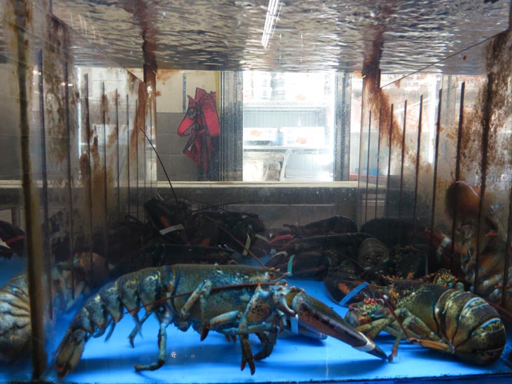 Lobsters, California Farmers Market, 21-61 31st Street, Astoria, Queens, April 26, 2013