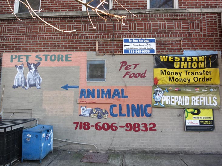 36th Street Animal Clinic, 21-75 36th Street, Astoria, Queens, December 14, 2012