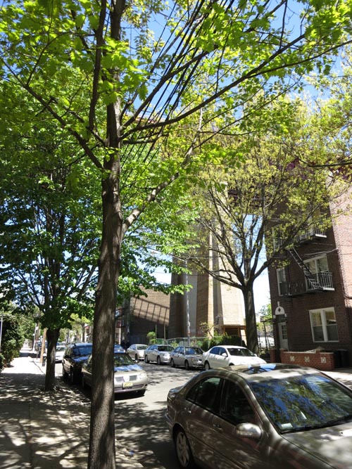 27th Street Between 23rd Avenue and Ditmars Boulevard, Astoria, Queens, May 3, 2013