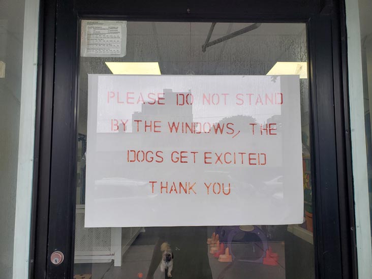 Vivi Pet Care, 31-05 21st Avenue, Astoria, Queens, June 27, 2023