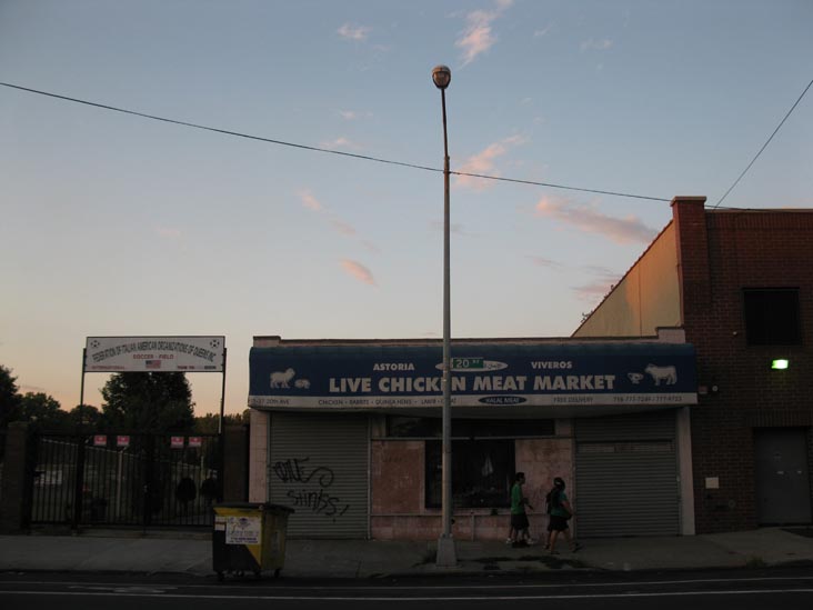 Astoria Live Chicken Meat Market, 31-37 20th Avenue, Astoria, Queens, July 13, 2011