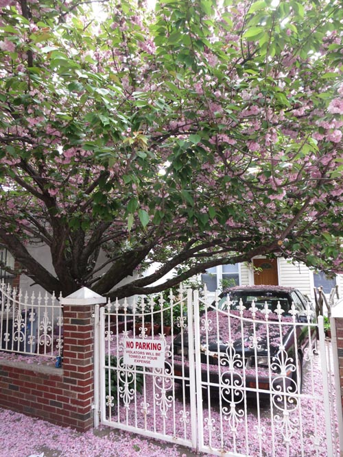 East Side of 31st Street Between 23rd Drive and 24th Avenue, Astoria, Queens, May 7, 2013