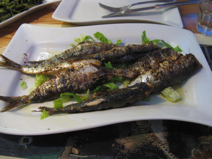 Grilled Fish, Taverna Kyclades, 33-07 Ditmars Boulevard, Astoria, Queens, August 6, 2009