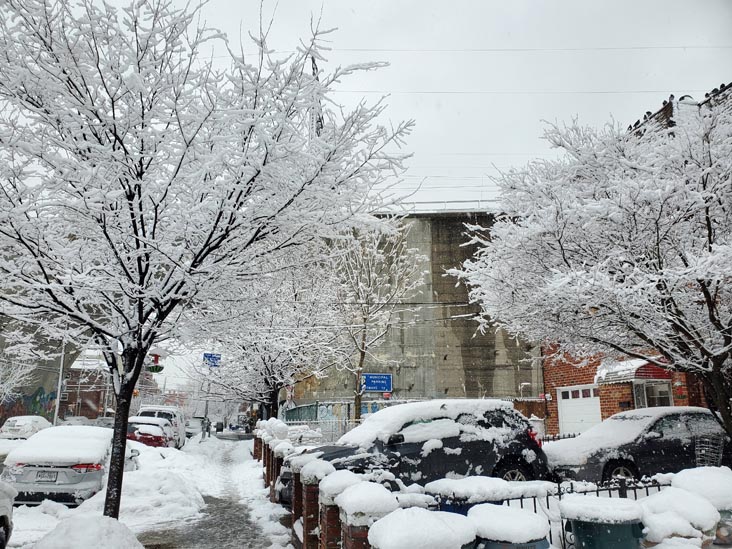 33rd Street Between Ditmars Boulevard and 23rd Avenue, Astoria, Queens, Feburary 7, 2021