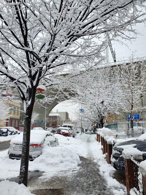 33rd Street Between Ditmars Boulevard and 23rd Avenue, Astoria, Queens, Feburary 7, 2021