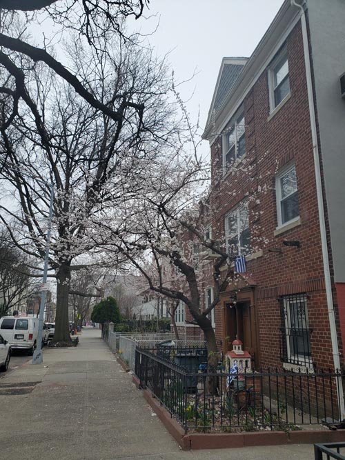 33rd Street Between 21st Avenue and Ditmars Boulevard, Astoria, Queens, March 30, 2025