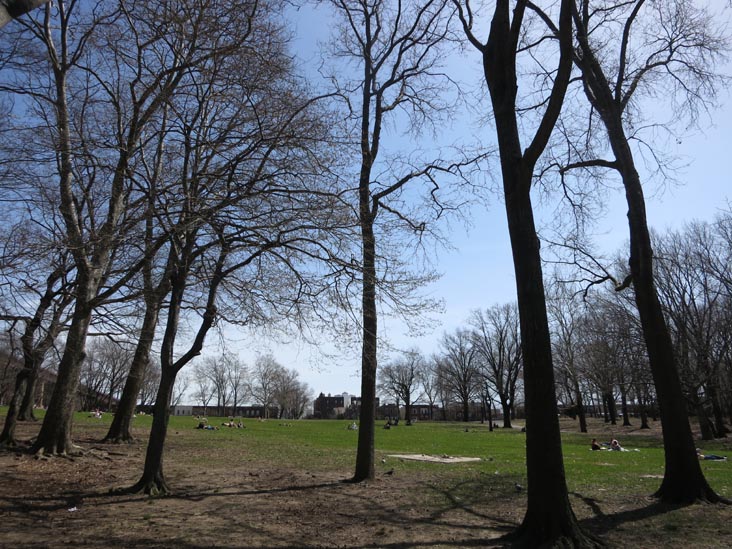 Lawn, Astoria Park, Astoria, Queens, April 9, 2013