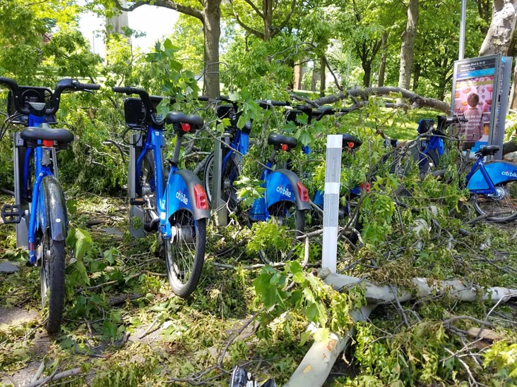 Storm Damage, Astoria Park, Astoria, Queens, May 21, 2018