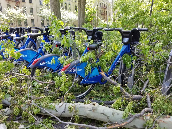 Storm Damage, Astoria Park, Astoria, Queens, May 21, 2018