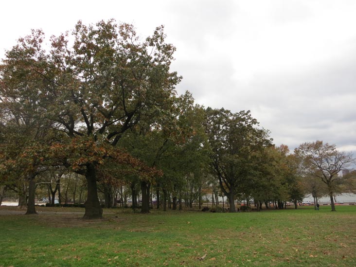 Astoria Park Lawn, Astoria Park, Astoria, Queens, November 1, 2012