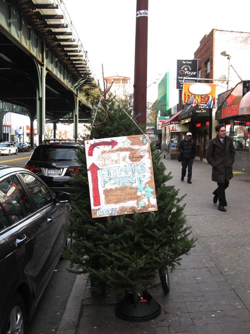 Ditmars Forest, Ditmars Boulevard and 33rd Street, NW Corner, Astoria, Queens, December 12, 2011