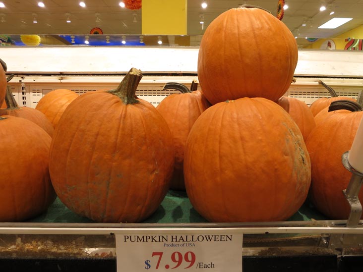 Pumpkins, Berry Fresh Farms, LaGuardia Center, 43-26 Ditmars Boulevard, Astoria, Queens, September 22, 2013