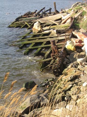 East River Waterfront, Socrates Sculpture Park, 32-01 Vernon Boulevard, Astoria, Queens