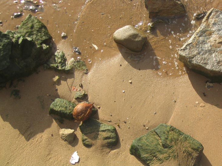 East River Beach, Astoria, Queens, April 24, 2004