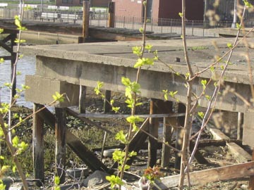 East River Waterfront, Astoria, Queens, April 24, 2004