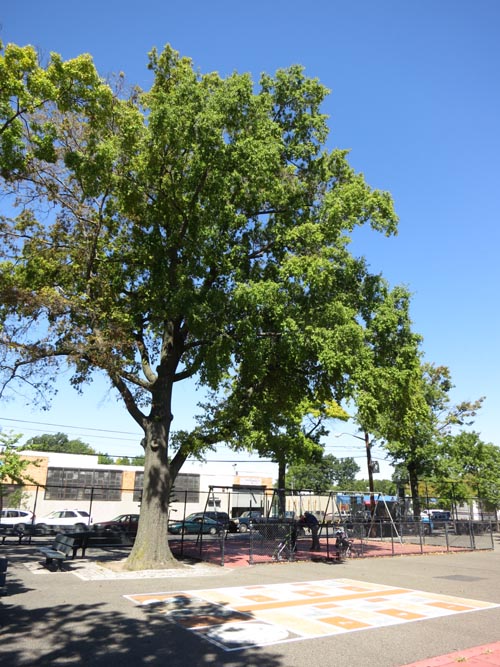 Woodtree Playground, 38th Street and 20th Avenue, Astoria, Queens, September 19, 2013