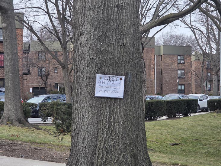 Grand Central Parkway at 79th Street, Astoria Heights, Queens, January 2, 2026
