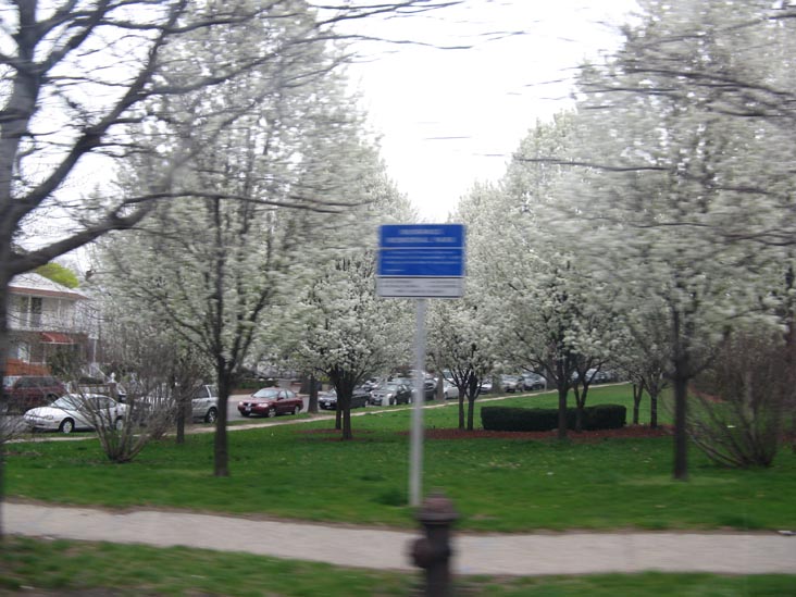 McManus Memorial Park, Astoria Heights, Queens, April 20, 2009