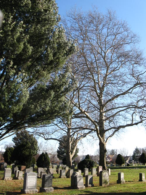 South Side of 46th Avenue Near 171st Place, Flushing Cemetery, Flushing, Queens