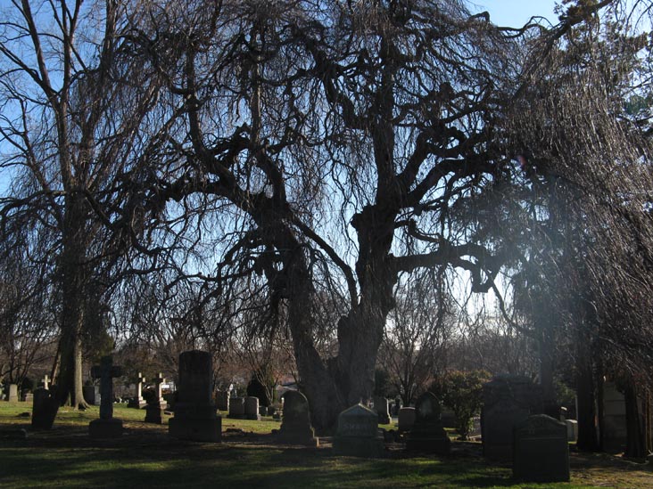 Flushing Cemetery, Flushing, Queens