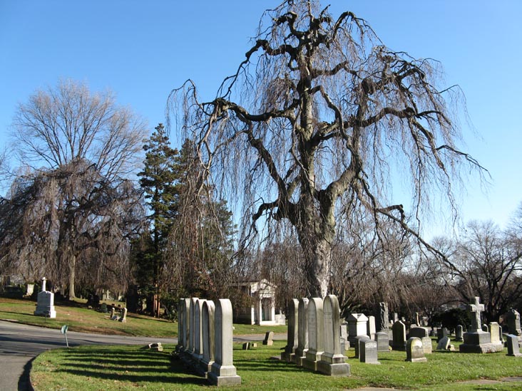 Flushing Cemetery, Flushing, Queens