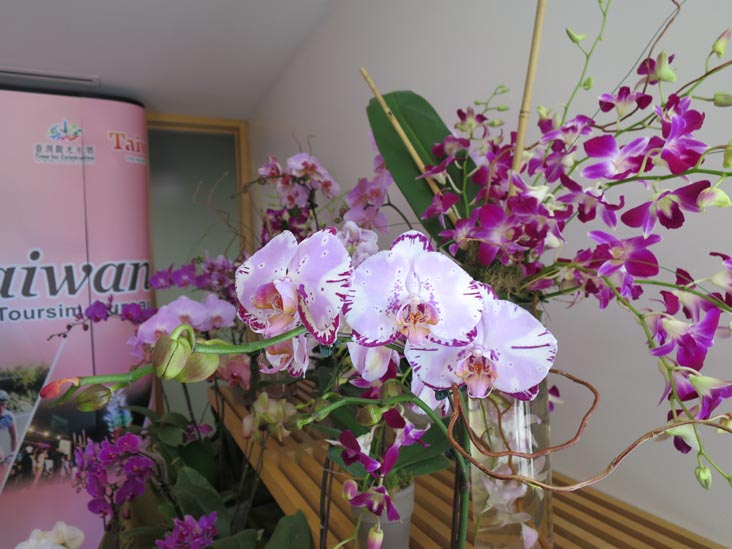 Taiwan: A World of Orchids, Queens Botanical Garden, 43-50 Main Street, Flushing, Queens, April 5, 2014