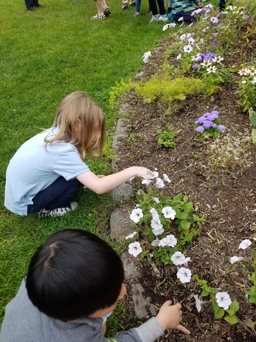 Queens Botanical Garden, Flushing, Queens, March 13, 2018